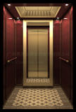 Vvvf SANYO Home Elevator for Residentia Use