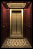 Vvvf SANYO Home Elevator for Residentia Use