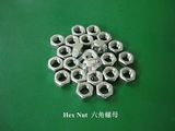 Stainless Steel Hex Nut