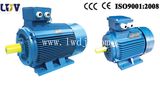 Ykp Electric Motor