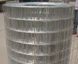 Square Wire Mesh (welded)