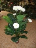Artificial Plants and Flowers of Gerbera 28lvs 6 Flowers