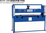 Xclp2-250 Hydraulic Beam Press with Manual Feeding Table