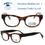 2012 Latest Styles Acetate Eyewear (BJ12-119)