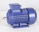 3 Phase Ie2 High Efficiency Induction Motor with CE Approved