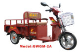 Gwgm-2A Electric Tricycle