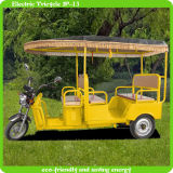 2014 New Model Electric Pedal Tricycle with Passenger Seat