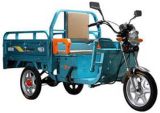 600W 48V20ah Lead-Acid Electric Tricycle (HDT-H1)