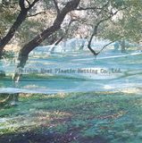 High Quality 100% Virgin HDPE Olive Net
