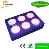 300W (324W) Hydroponic / HPS Horticulture Greenhouse Ligh LED Grow Light (WS-PF3P324)