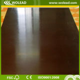 Plywood for Buildings Good Quality and Cheap Price (w15301)