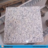 Newstar 60X60 Pink Granite Price