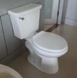Economic Two Piece Toilet for USA Market