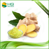 Hot-Selling Water Soluble Ginger Root Extract