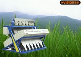 Selling Hotthailand Fragrant Rice Color Sorting Machinery (VSN3000-G6A)