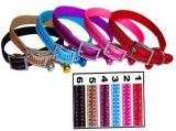 Colorful Christmas Gifts Pet Products Nylon Pet Collar (JCC-1102)