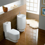 Toilet Sanitary Ware (Z2060430 Z2060431)