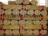 Bamboo Canes
