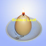 Egg Candle (3)