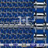 Stainless Steel Chain Driven Conveyor Belt