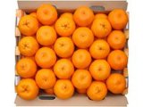 Mandarin Orange (ponkan)
