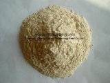 Rice Protein Powder (Feed Grade)