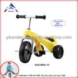 Accept OEM Service Kiddie Tricycle (AKB-MINI-10)