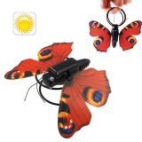 Motion Solar Energy Simulation Butterfly Education Toy