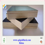 18mm Film Faced Plywood for Building