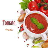 Canned/Sachet/Tinned Tomato Paste