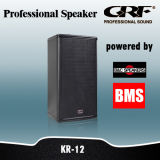 Hf: B&C, Lf: BMS Professional Speaker (KR-12)
