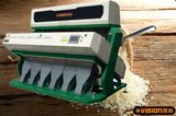 Automatic Rice Color Sorter Machinery Wholesale Price