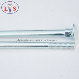 Ss 304 Stainless Steel Carriage Bolt/Square Neck Bolt
