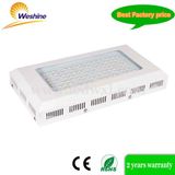 Dimmable Full Spectrum 200W (240W) LED Plant Grow Light Panel Lighting