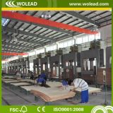 Building Material HPL Laminate Plywood (w15428)