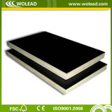 High Quality Film Faced Plywood for Construction (w15494)