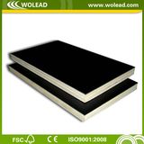 High Quality Film Faced Plywood for Construction (w15494)