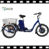 Lohas 350W Popular Electric Cargo Tricycle