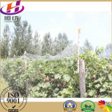 Durable Anti Bird Nets for Fruit Trees
