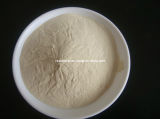 (Chitosan) --Natural Polymer Chitosan