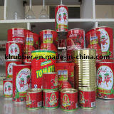 70g-4500g Salsa Canned Tomato Paste with 28-30%Brix