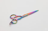 Rainbow Titanium Hair Scissor (U-313R)