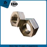 High Quality High Tensile Blind Hexagonal Nut