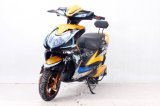 1000W60V Lead Acid Battery Fashionable Electric Motorcycle (EM-016)