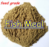 Fish Meal for Feed Additive Protein 65% 72%