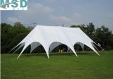 900GSM PVC Tarpaulin/ Coated Fabric for Tent
