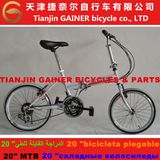 Tianjin Gainer 20