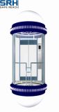Top Observation Elevator Manufacture in China