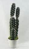 PE Foam Artificial Cactus Plants Bonsai