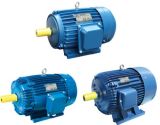 Three Phase Squirrel Cage Asynchronous Motors with CE Approved